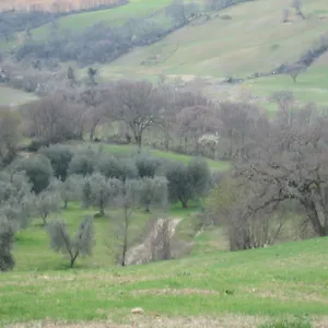 Casa Fibbianello Séjour à la ferme